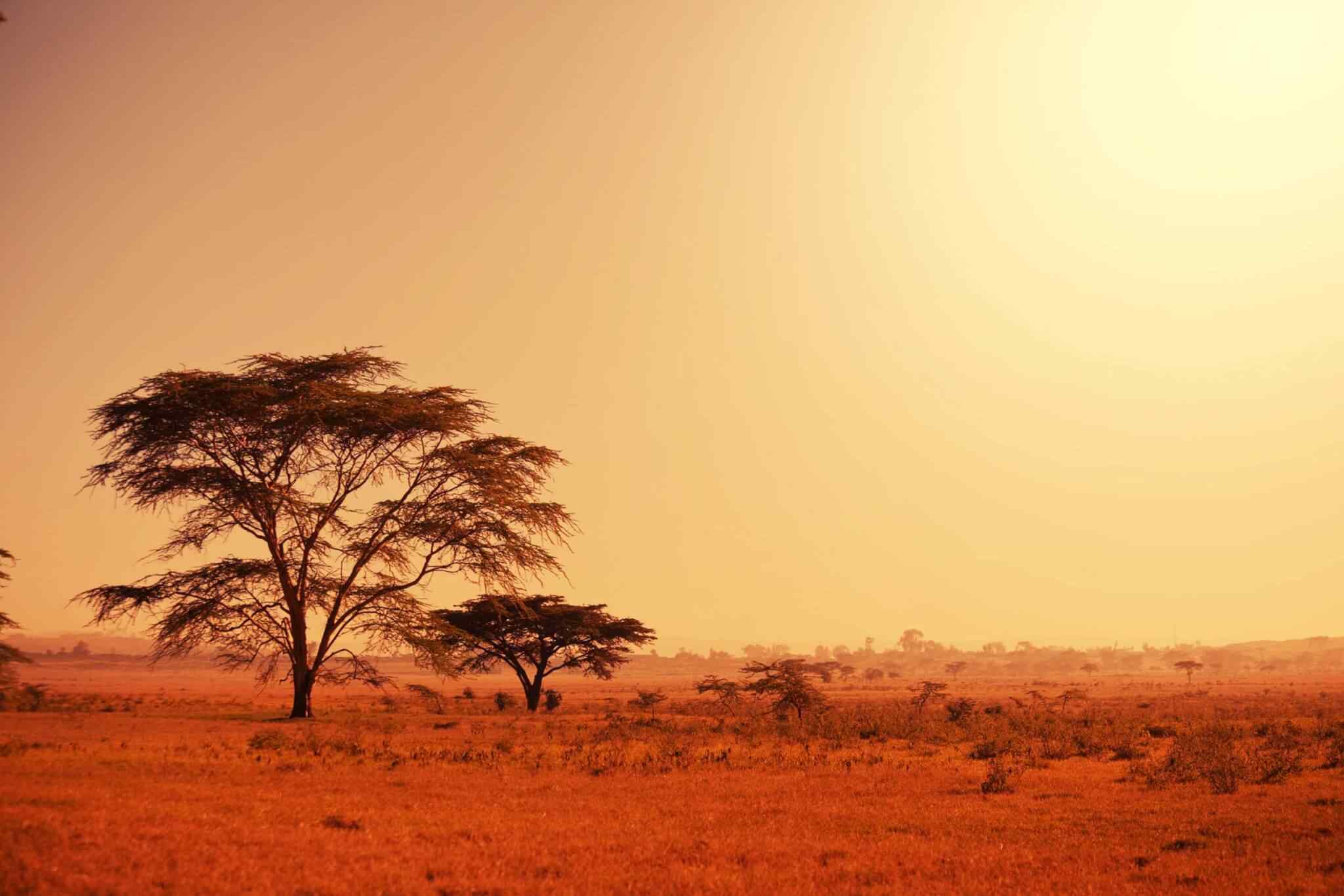 https://ashabturizm.com/wp-content/uploads/2018/09/tour-africa-02.jpg